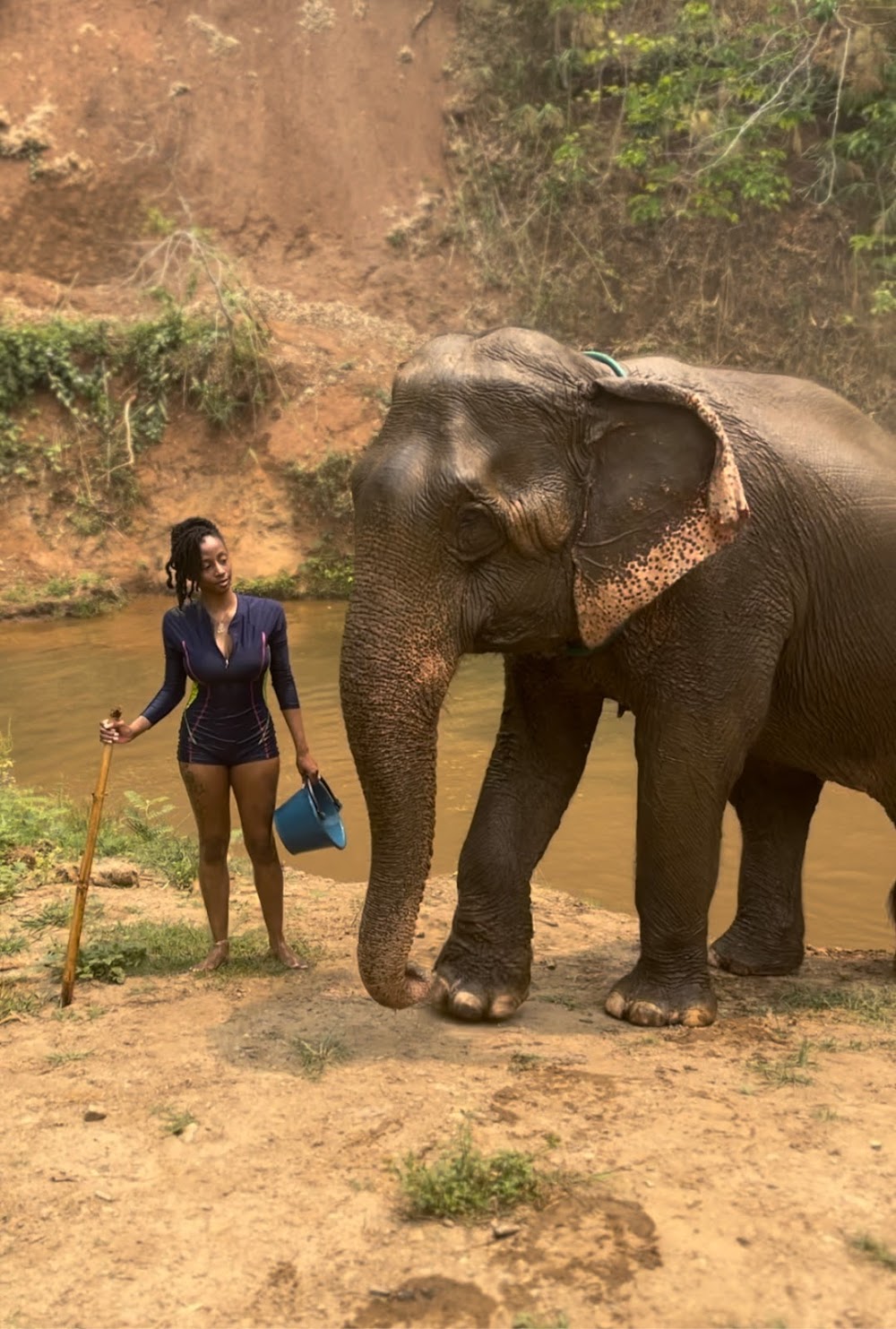 Toto's Elephant Sanctuary