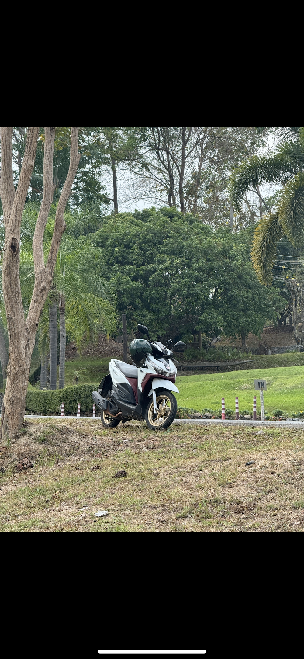 Vanessa’s Motorbike Hire