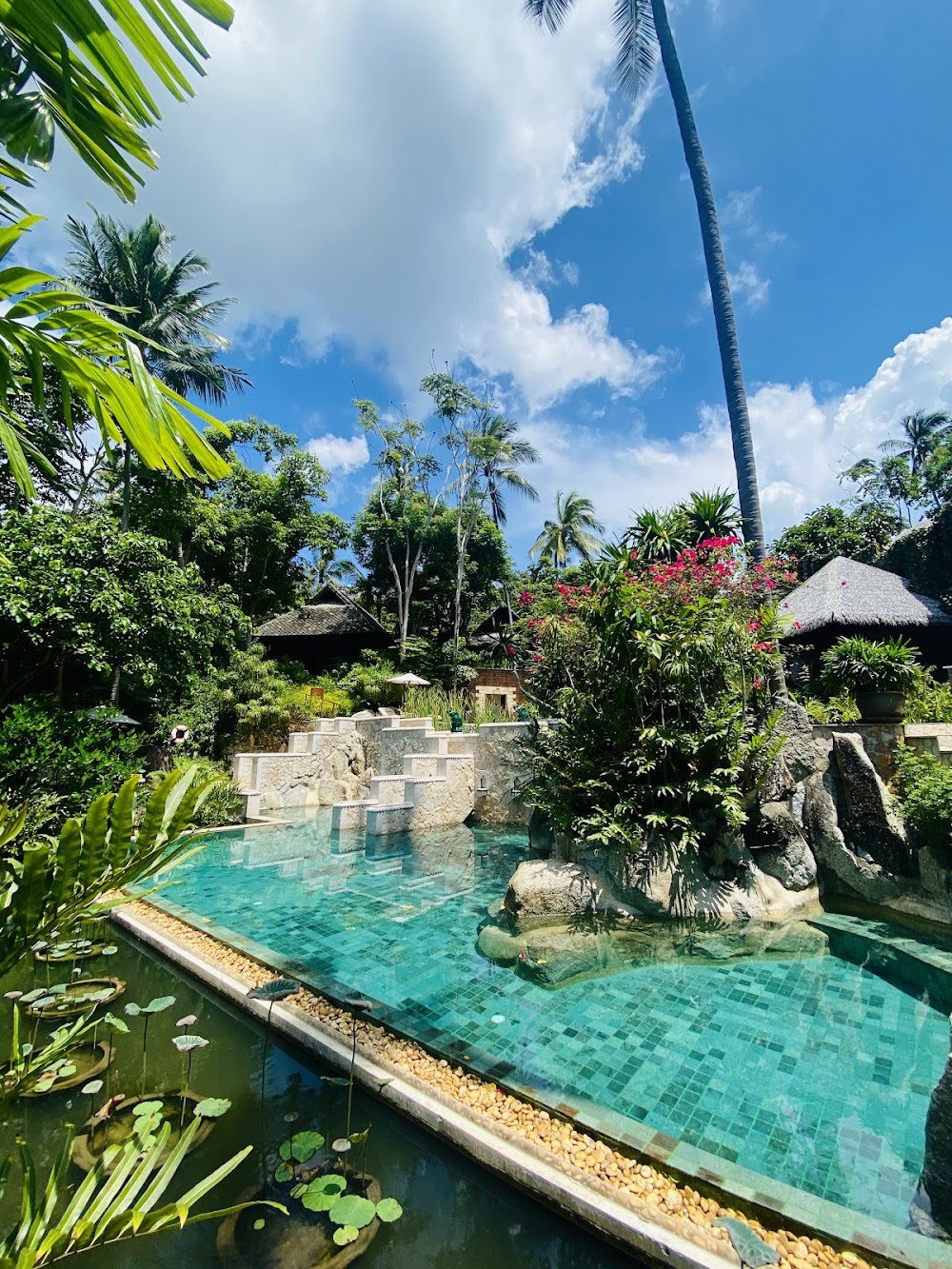 Wellness Retreat