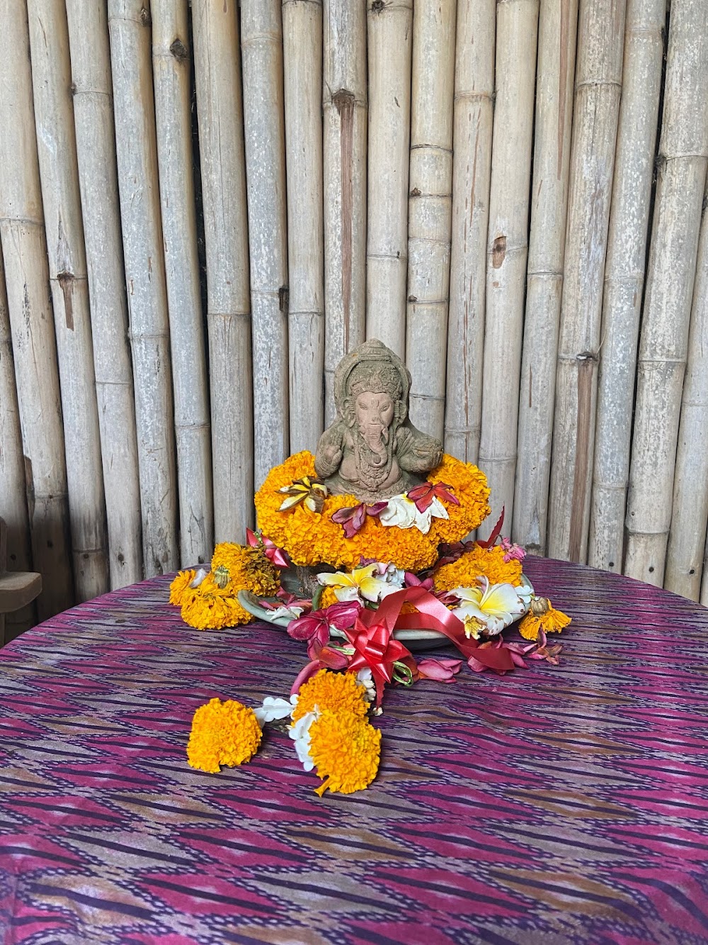 Yoga Chiangmai Orissa Yoga Studios