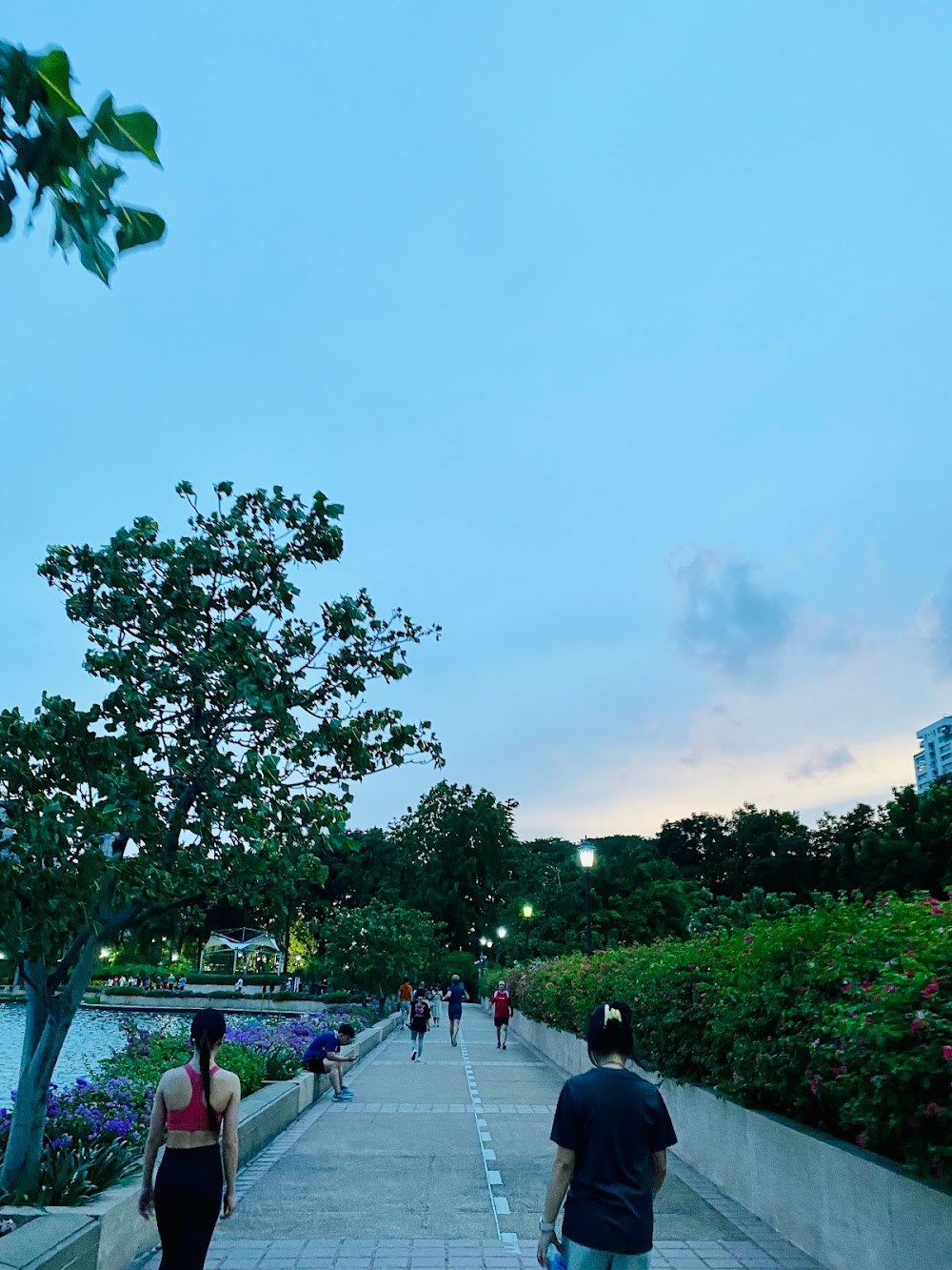 Yoga In The Park