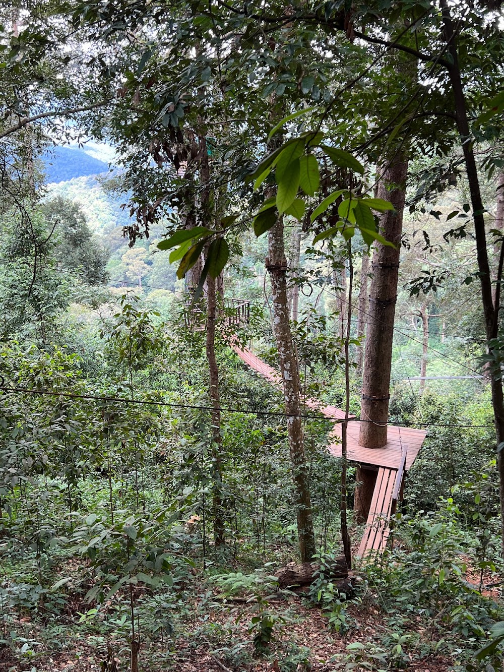 Zipline Chiangmai