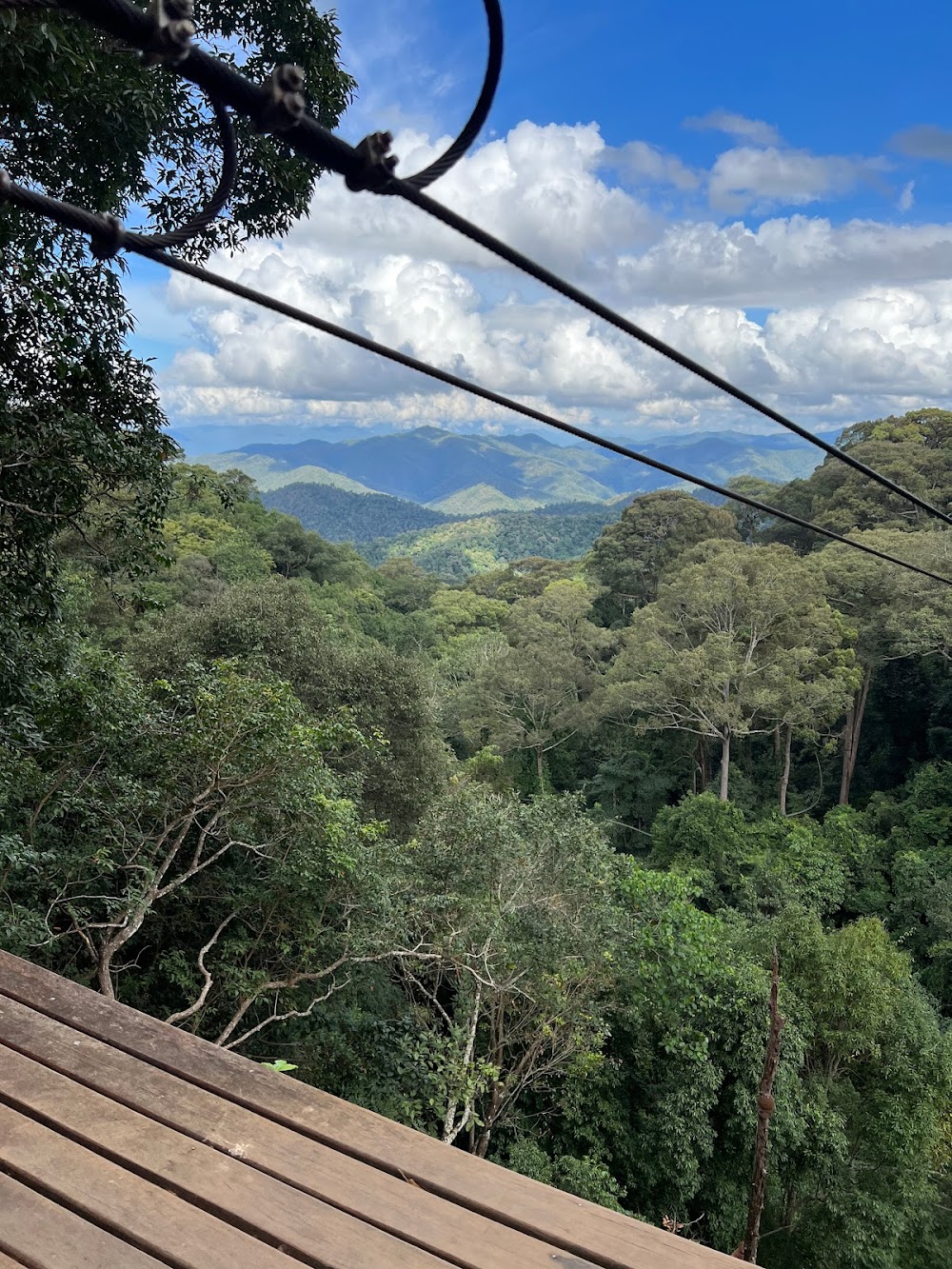 Zipline Chiangmai