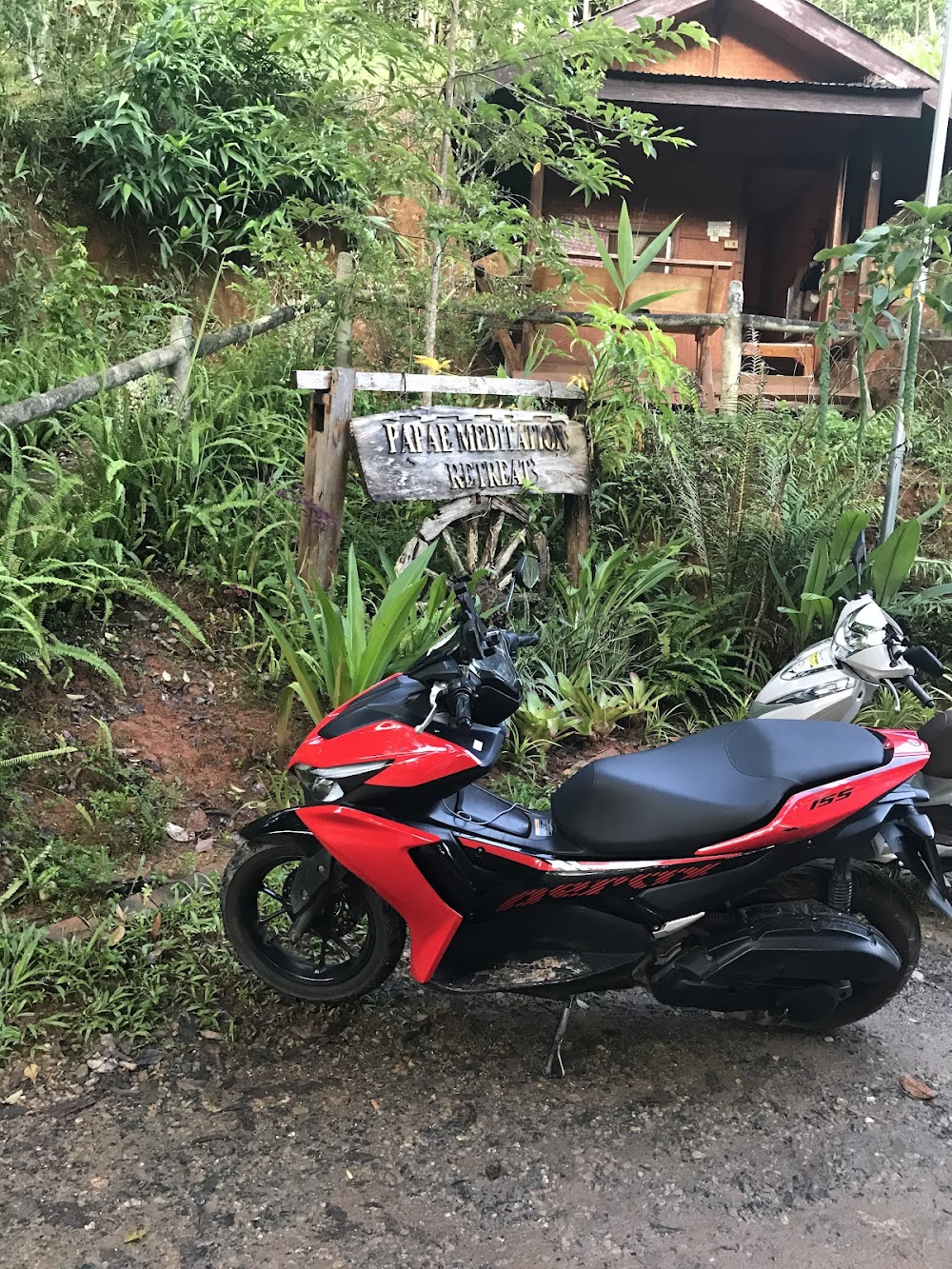 Zippy Motorbike Rentals Chiang Mai