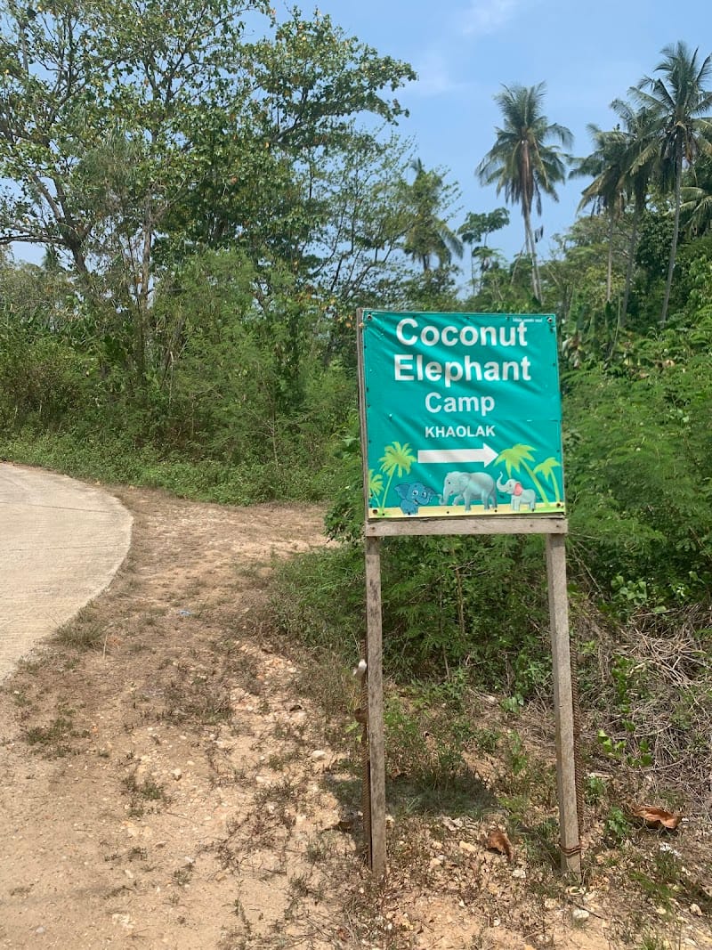 Coconut Elephant Camp Khaolak